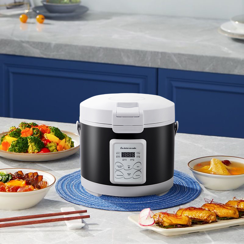 220V Mini cuiseur à riz soupe  - Camping Cooking Menu avis et prix