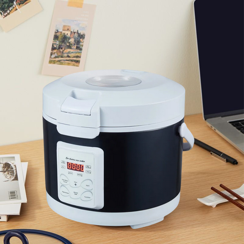 220V Mini cuiseur à riz soupe  - Camping Cooking Menu avis et prix